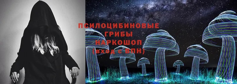 купить   Уфа  Псилоцибиновые грибы Psilocybe 